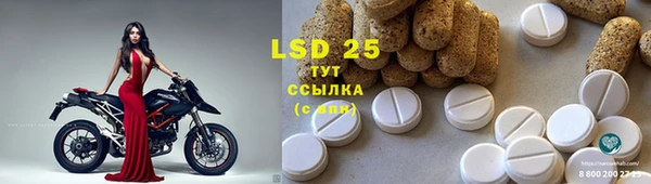 spice Лагань