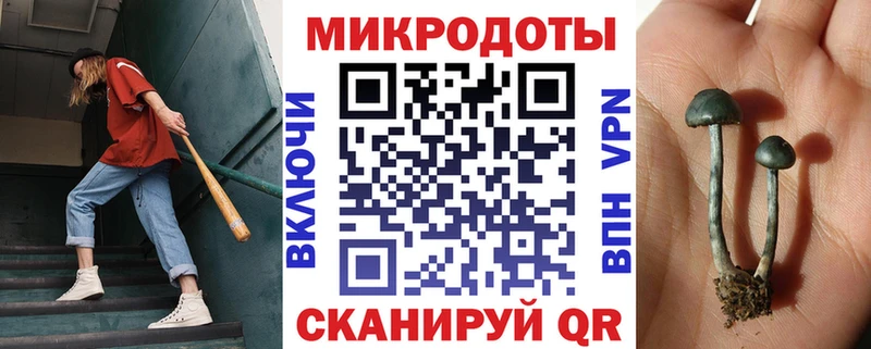 Галлюциногенные грибы Cubensis  Щучье 